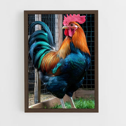 ap-rooster-1 cadre Bois foncé