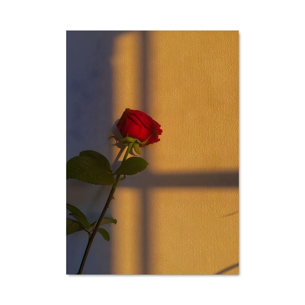 Poster Rose 96723