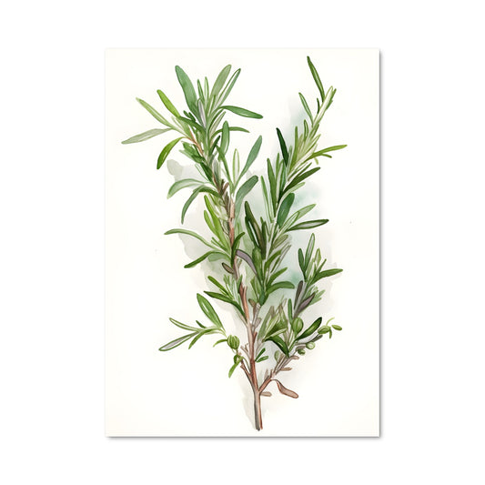 Poster L'Olive Enchantée