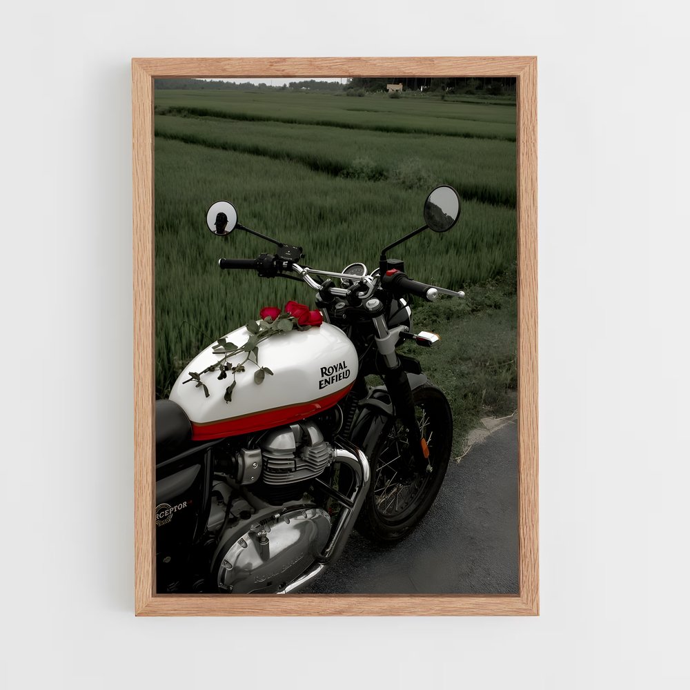 ap-royal enfield-10 cadre Bois clair