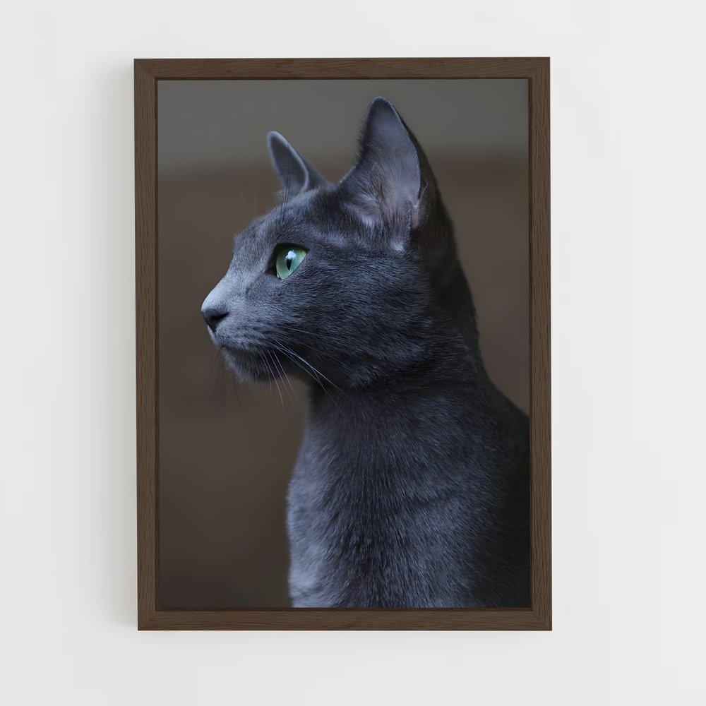 ap-russian blue-2 cadre Bois foncé