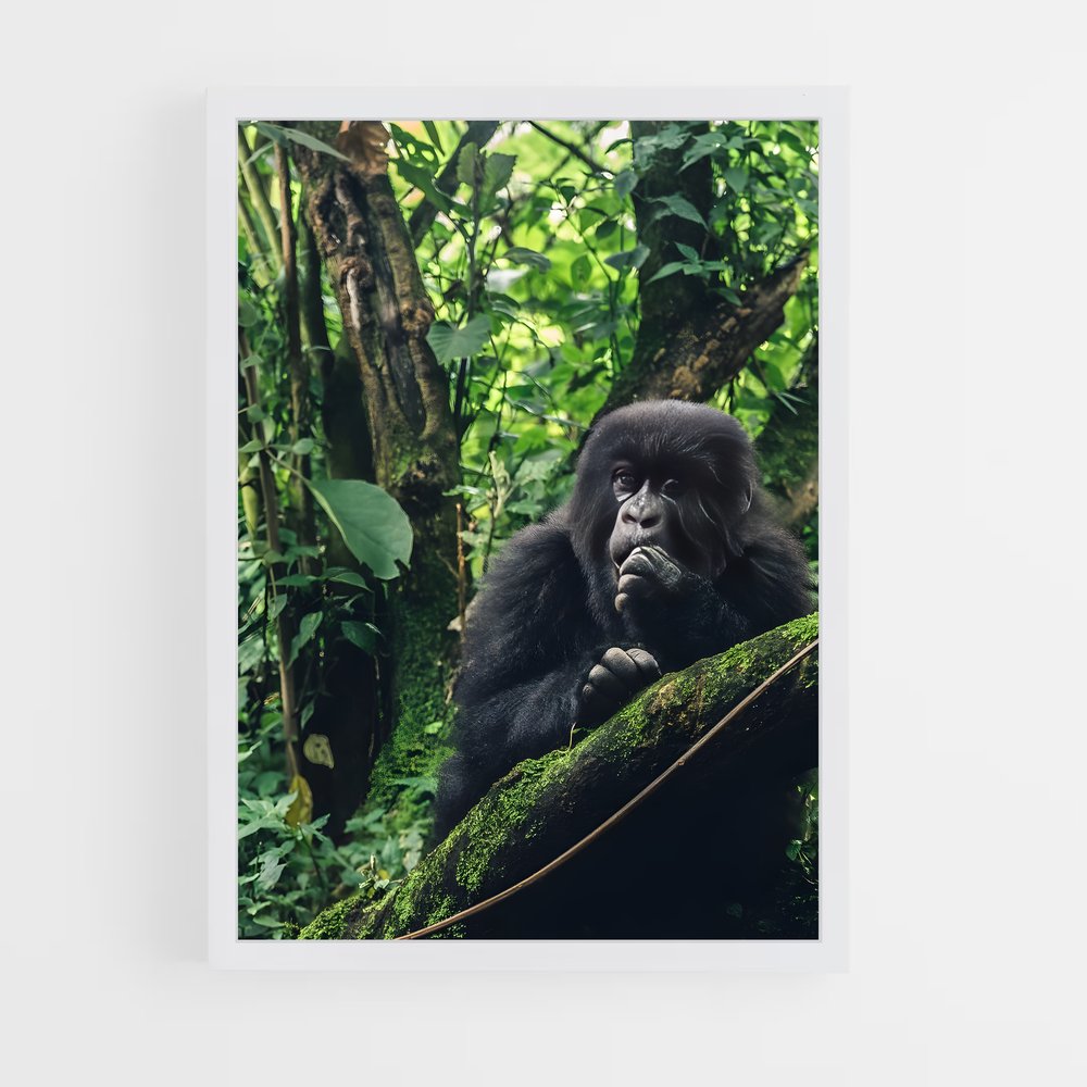 ap-rwanda-2 cadre Blanc