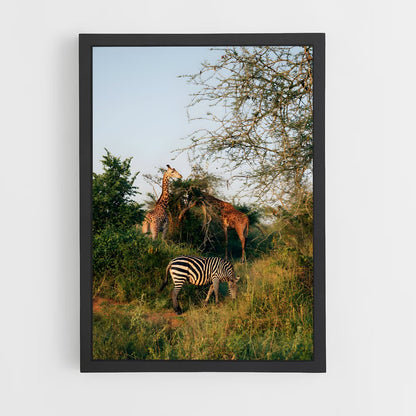ap-rwanda-6 cadre Noir