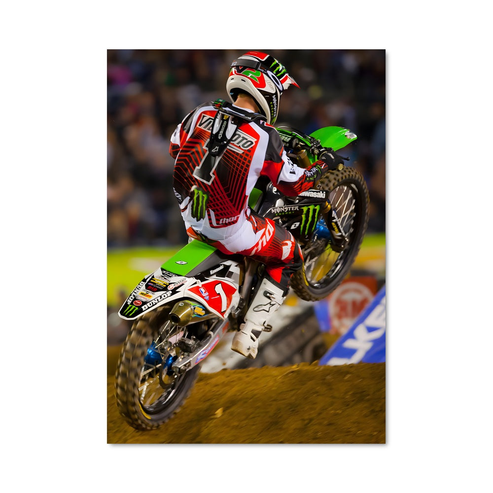 Poster Ride the Wild