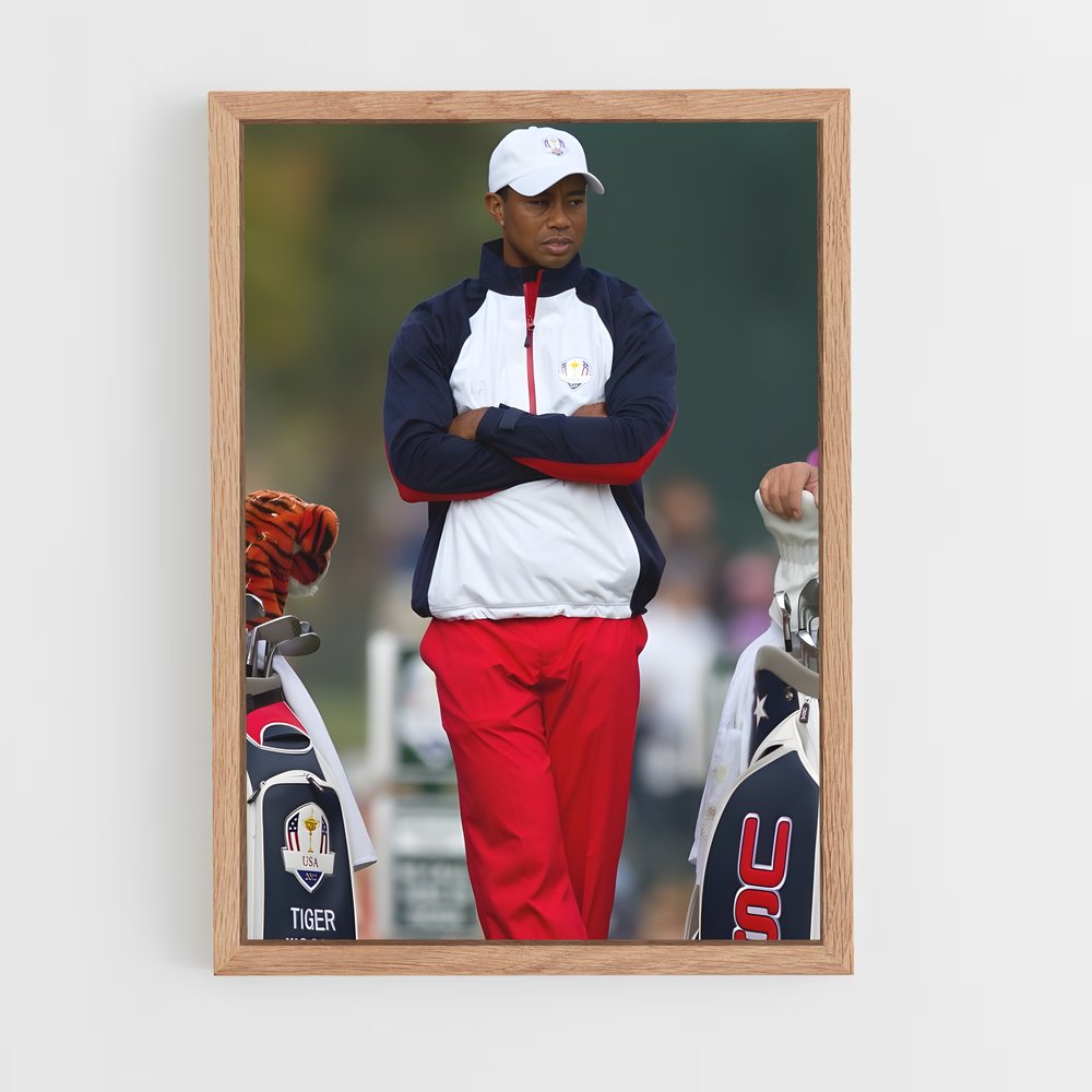 ap-ryder cup-5 cadre Bois clair