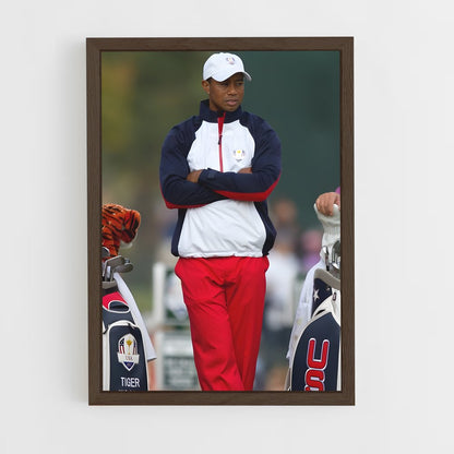 ap-ryder cup-5 cadre Bois foncé