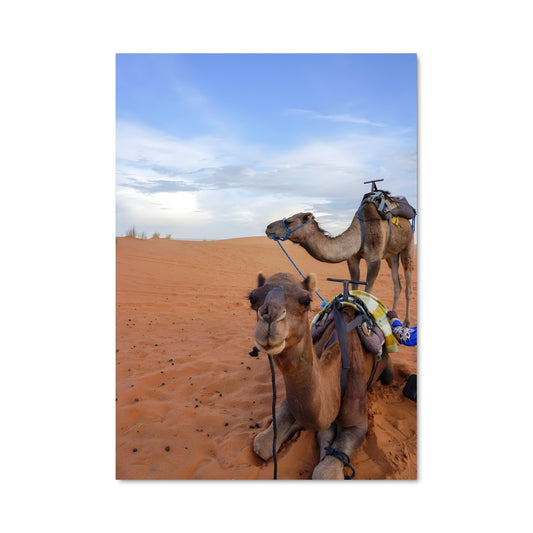 Poster Voyage au Sahara