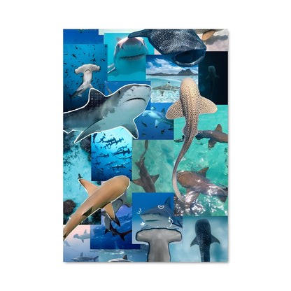Poster Requins en Fête