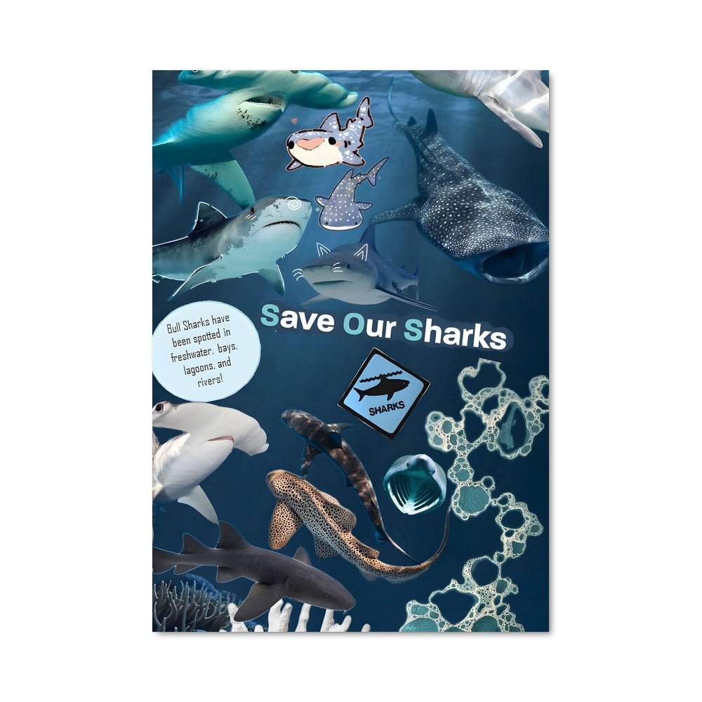Poster Sauvons Nos Requins