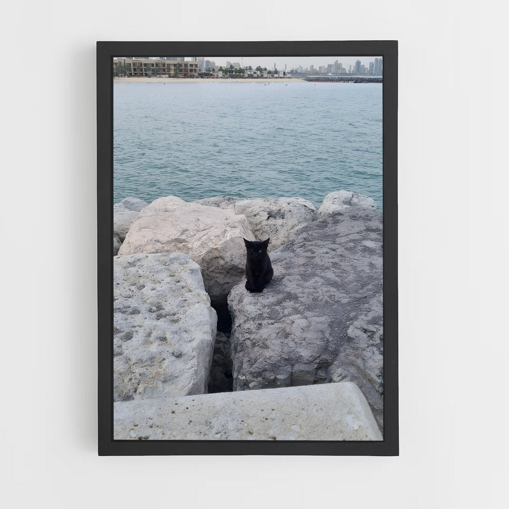ap-salmiya-5 cadre Noir