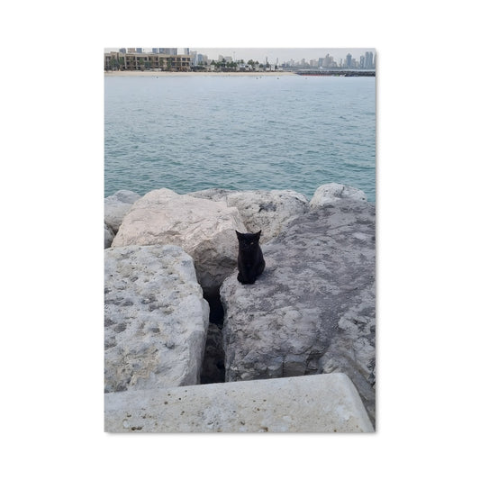 Poster Chat au Bord de l'Eau