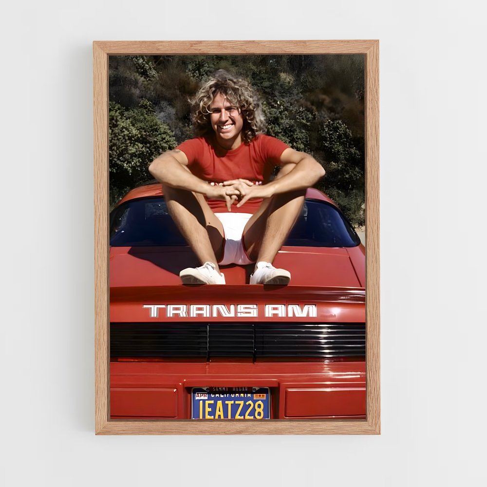 ap-sammy hagar-4 cadre Bois clair