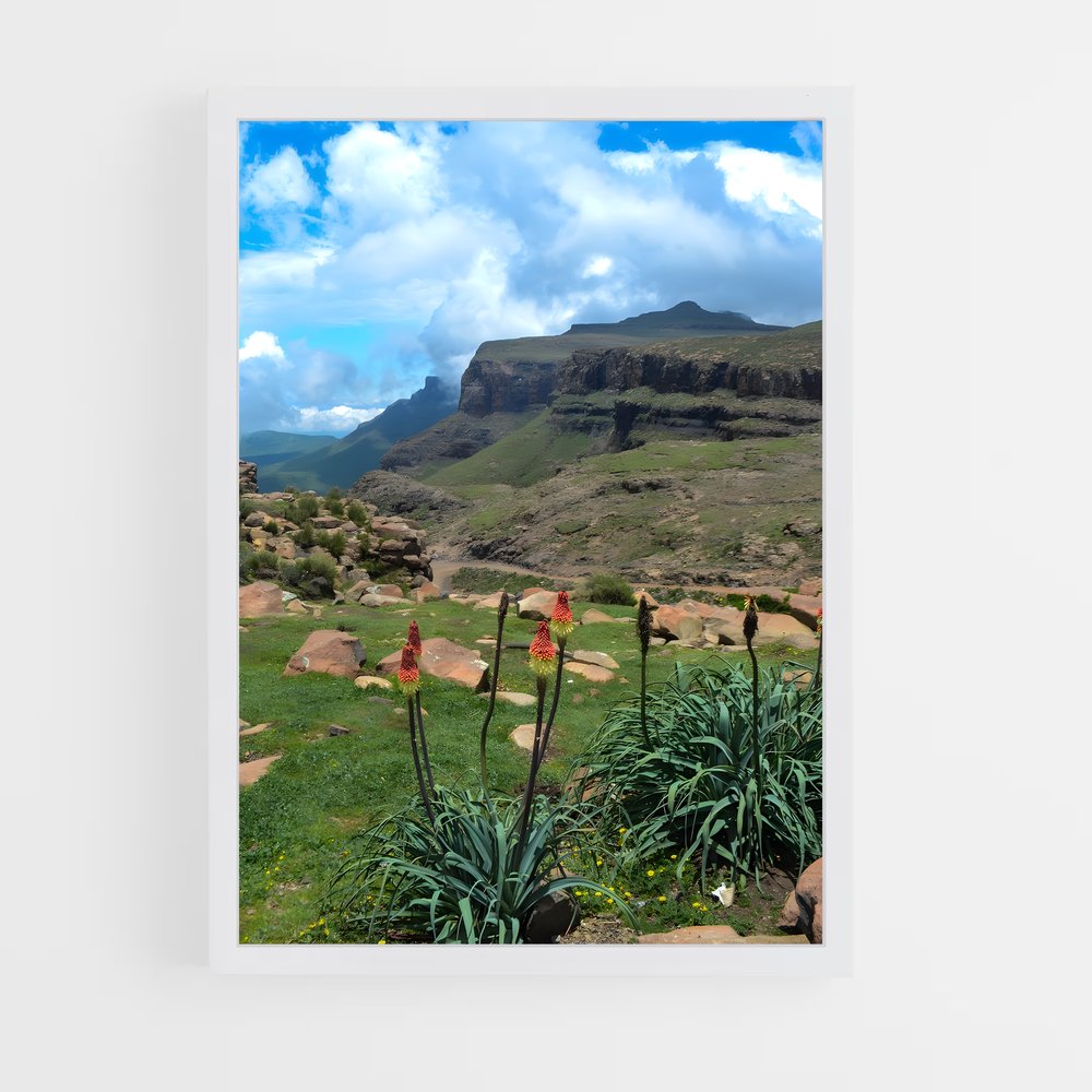 ap-sani pass-2 cadre Blanc