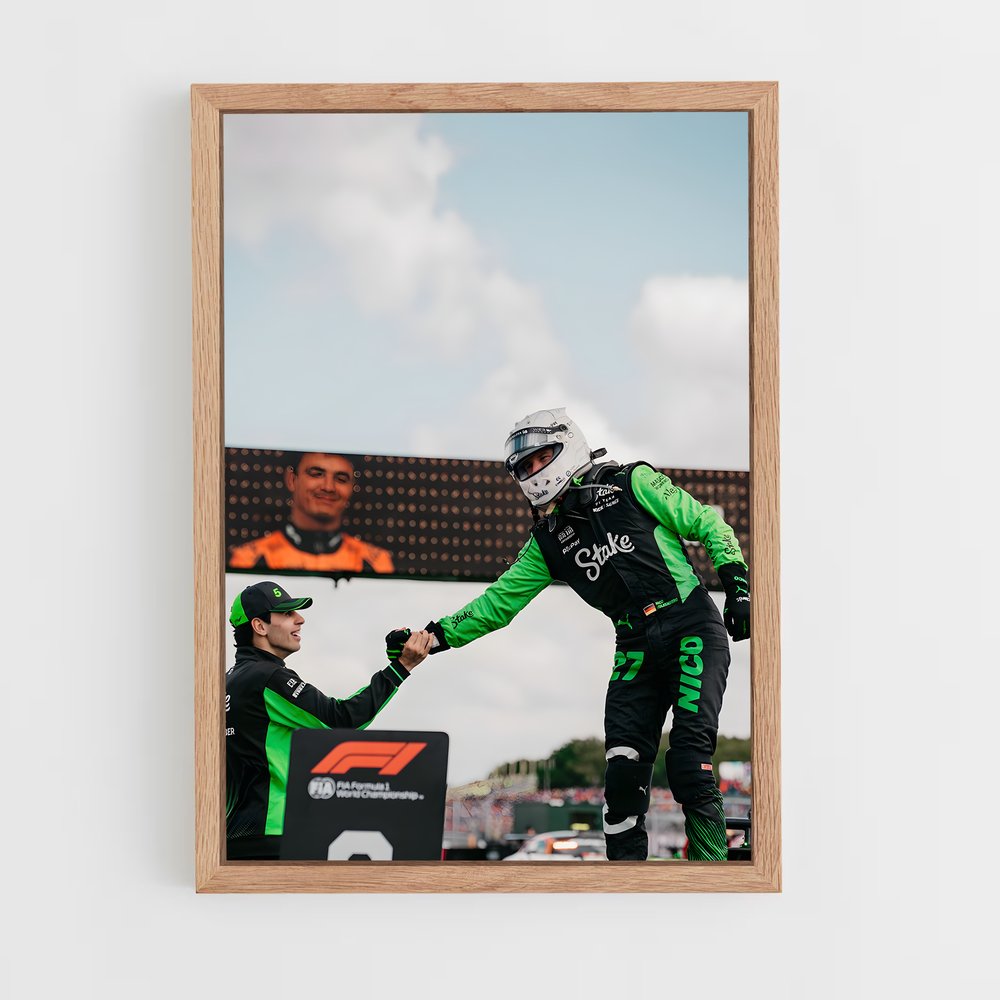 ap-sauber f1 team-5 cadre Bois clair
