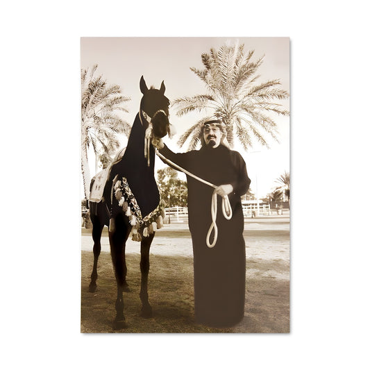 Poster Chevalier du Désert