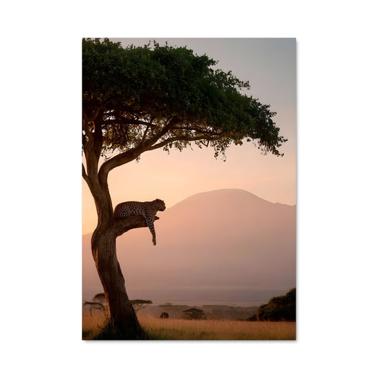 Poster Savanna 97550