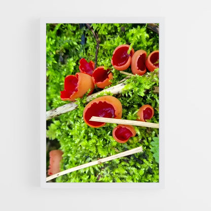 ap-scarlet elf cup-1 cadre Blanc
