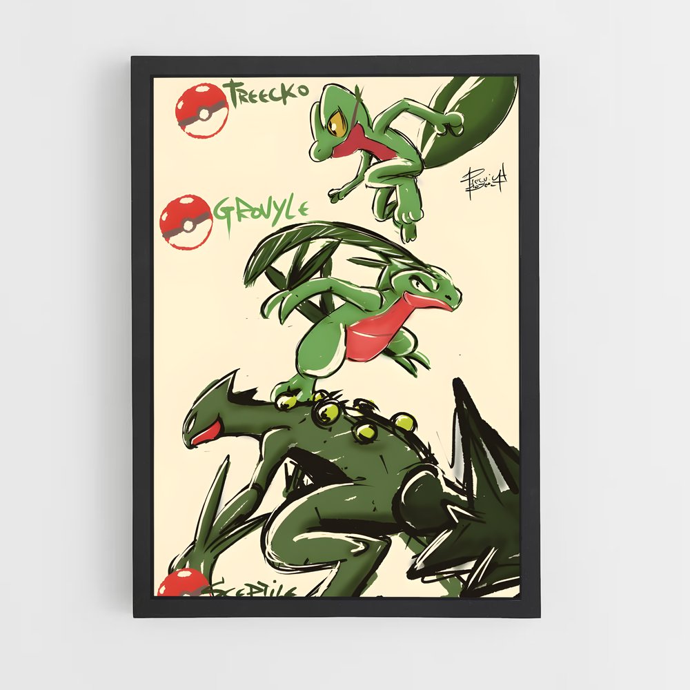 ap-sceptile-3 cadre Noir