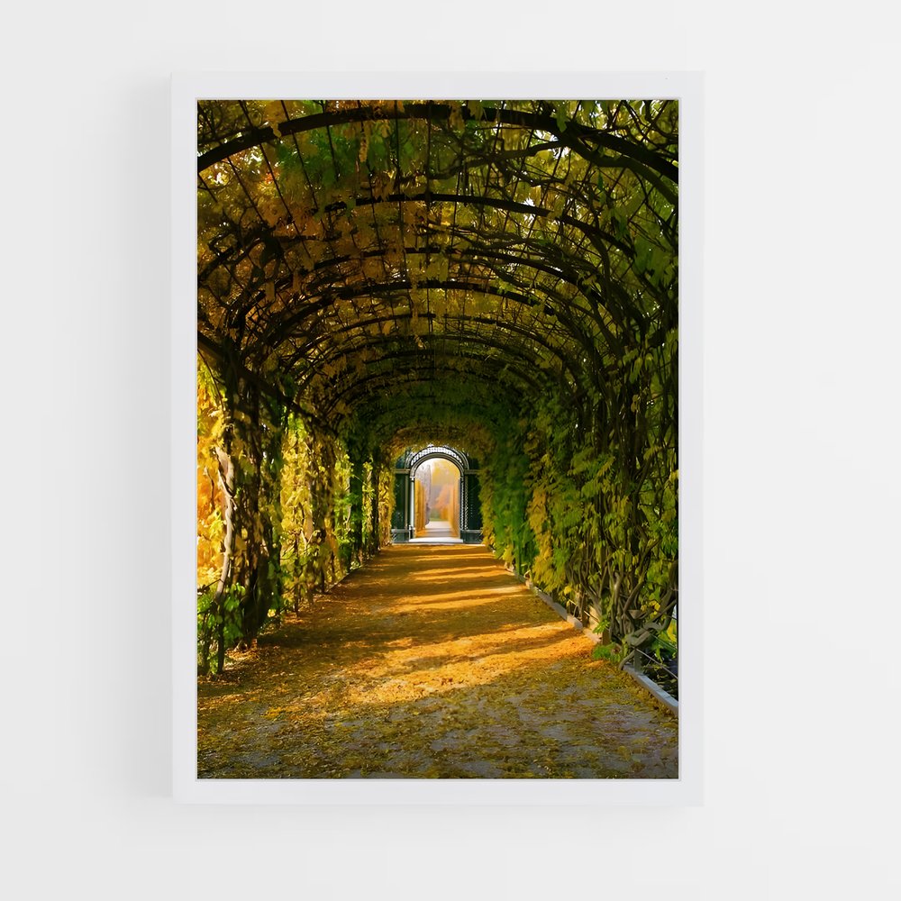 ap-schonbrunn palace-4 cadre Blanc