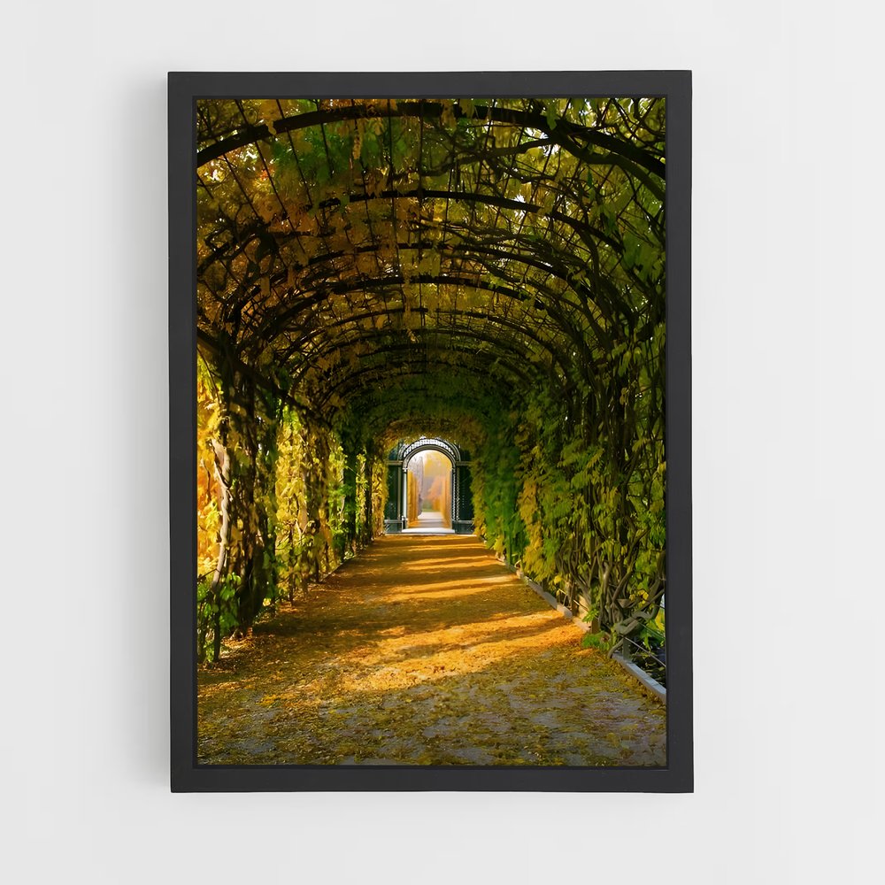 ap-schonbrunn palace-4 cadre Noir