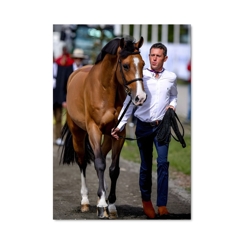 Poster Cheval et Horizon