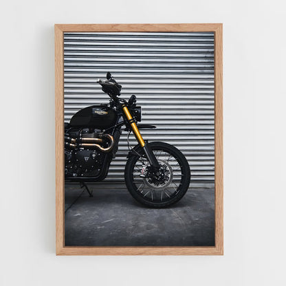 ap-scrambler 1200-4 cadre Bois clair