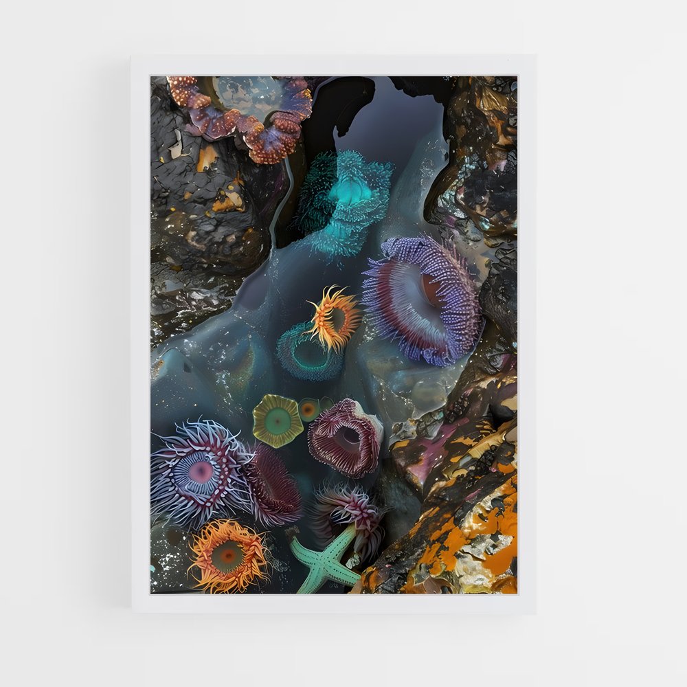 ap-sea anemone-2 cadre Blanc