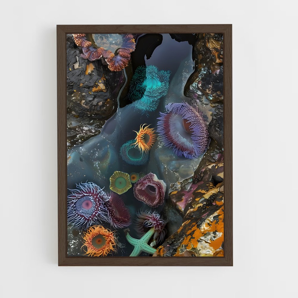 ap-sea anemone-2 cadre Bois foncé