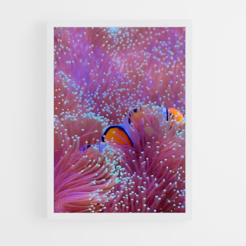 ap-sea anemone-4 cadre Blanc
