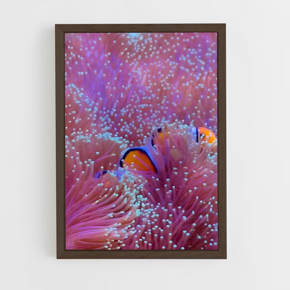 ap-sea anemone-4 cadre Bois foncé