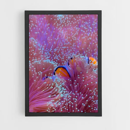 ap-sea anemone-4 cadre Noir