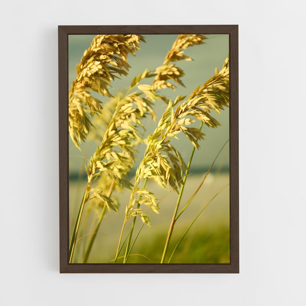 ap-sea oats-1 cadre Bois foncé