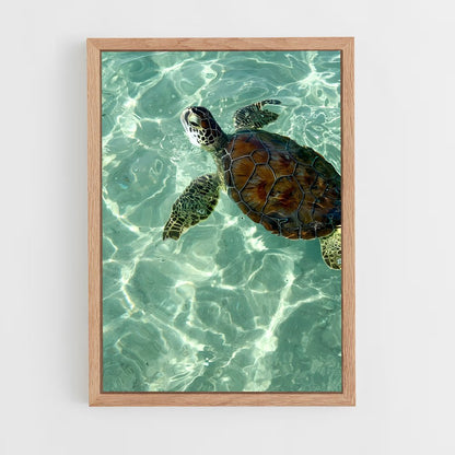 ap-sea turtle-4 cadre Bois clair