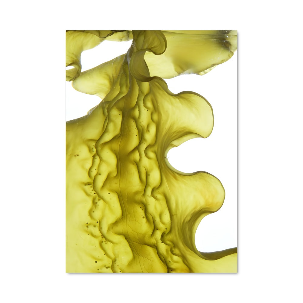 Poster Énergie Aquatique