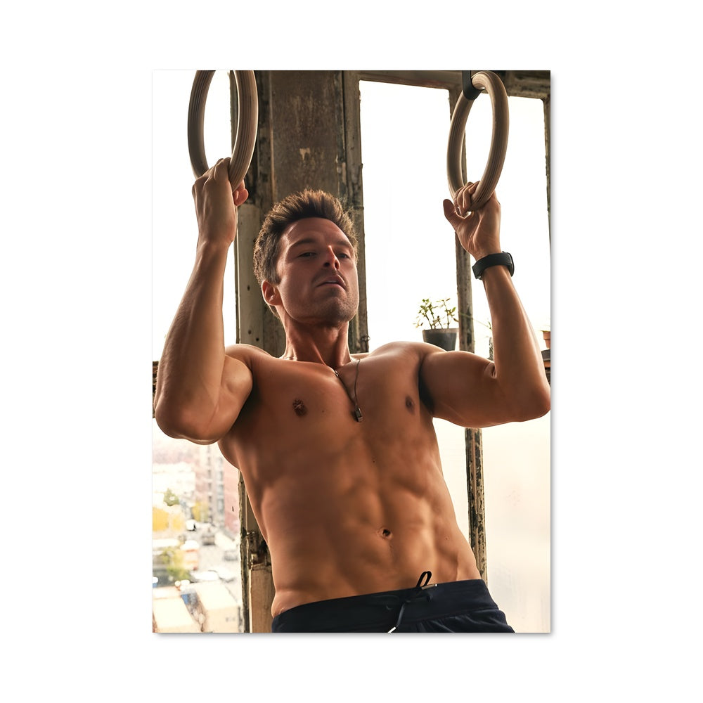 Poster Sebastian stan 8160