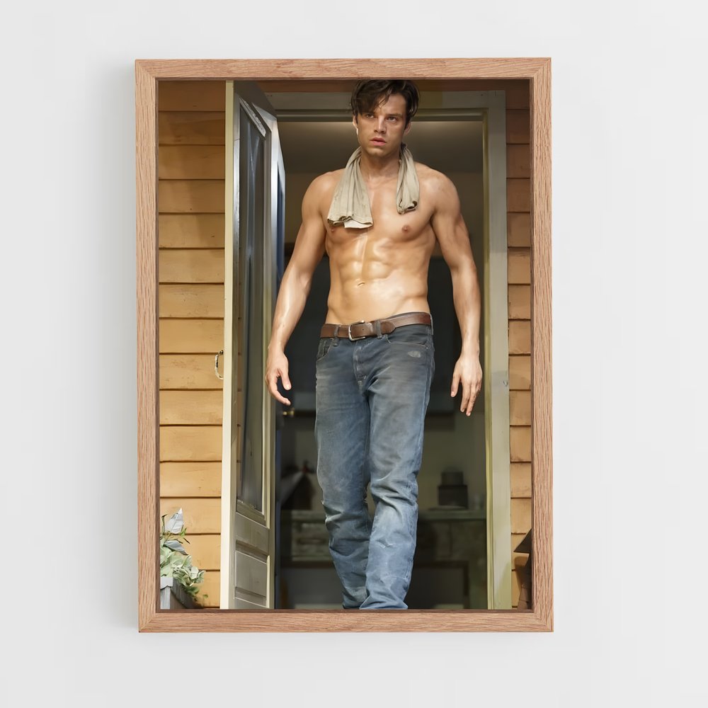 ap-sebastian stan-3 cadre Bois clair