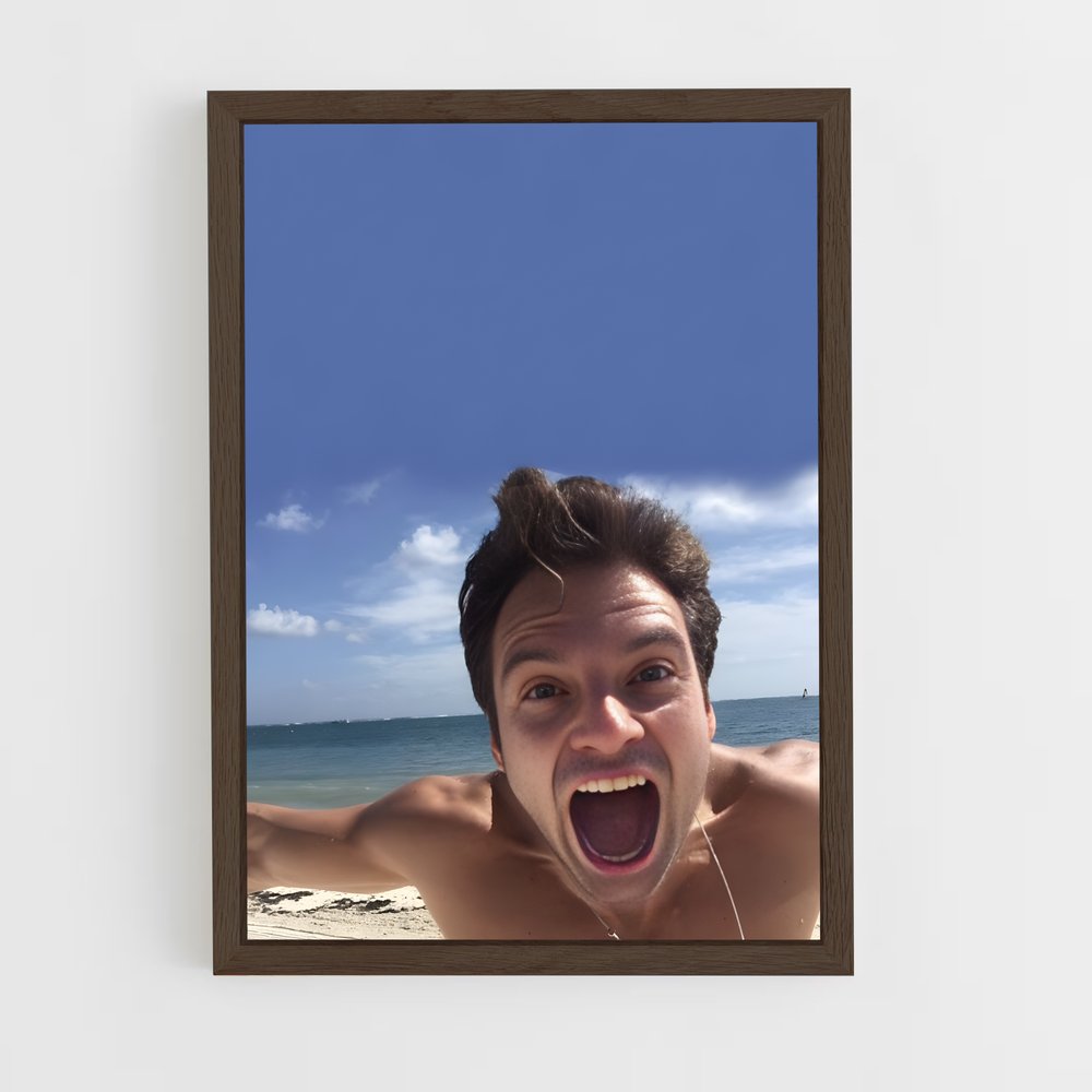ap-sebastian stan-5 cadre Bois foncé