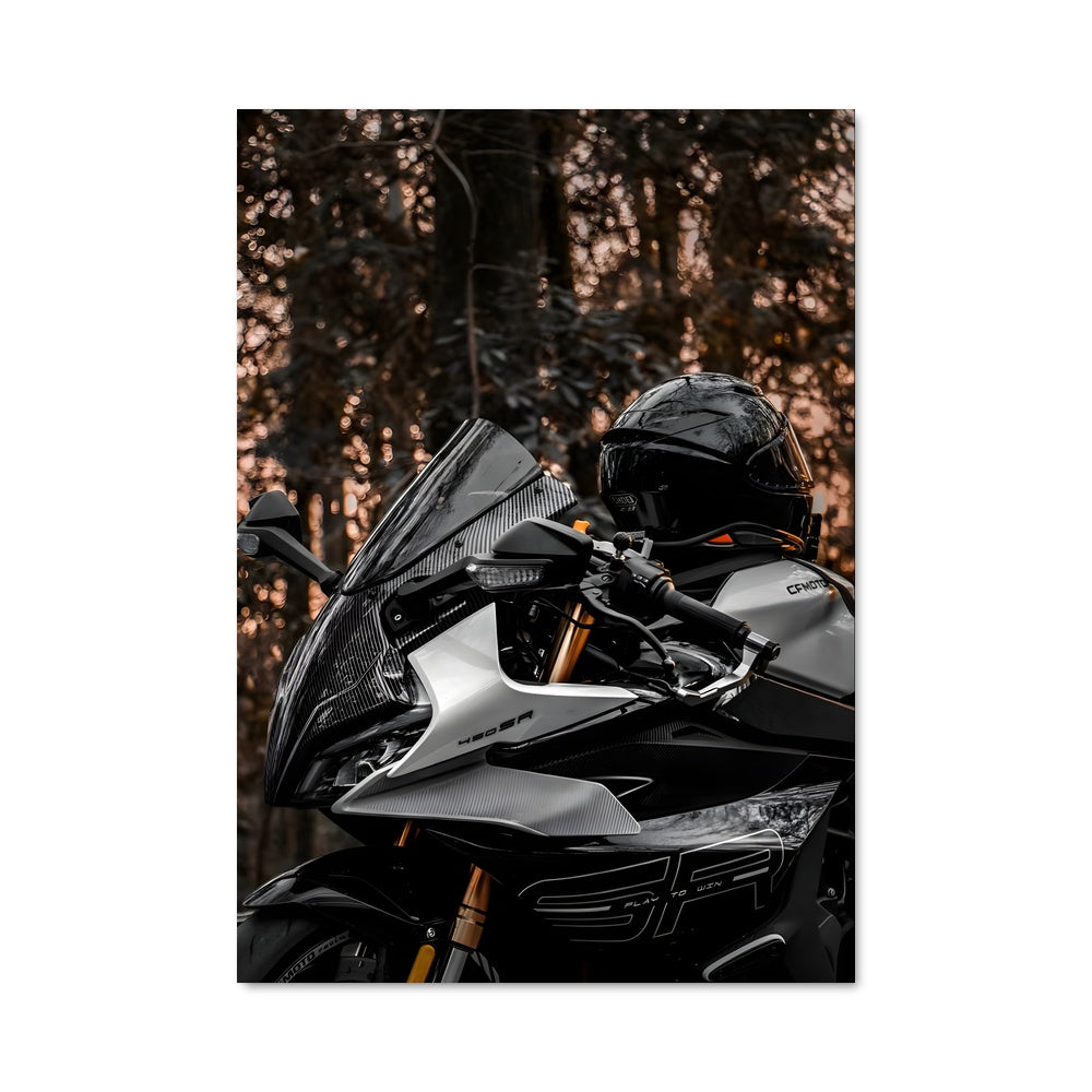 Poster Ride of Legends