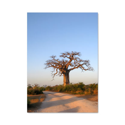 Poster Senegal 87041
