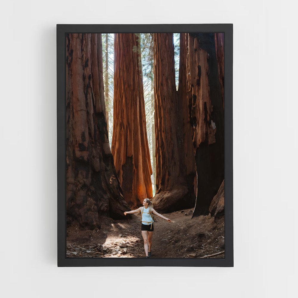 ap-sequoia-2 cadre Noir