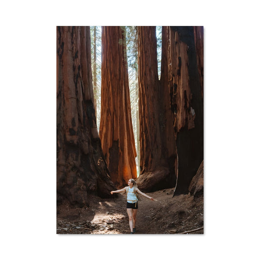 Poster La Force de la Nature