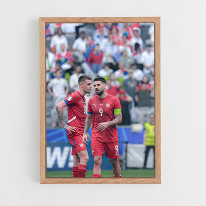 ap-serbia national football team-2 cadre Bois clair