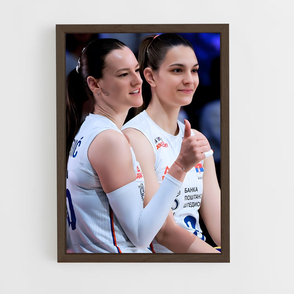 ap-serbia national volleyball team-2 cadre Bois foncé