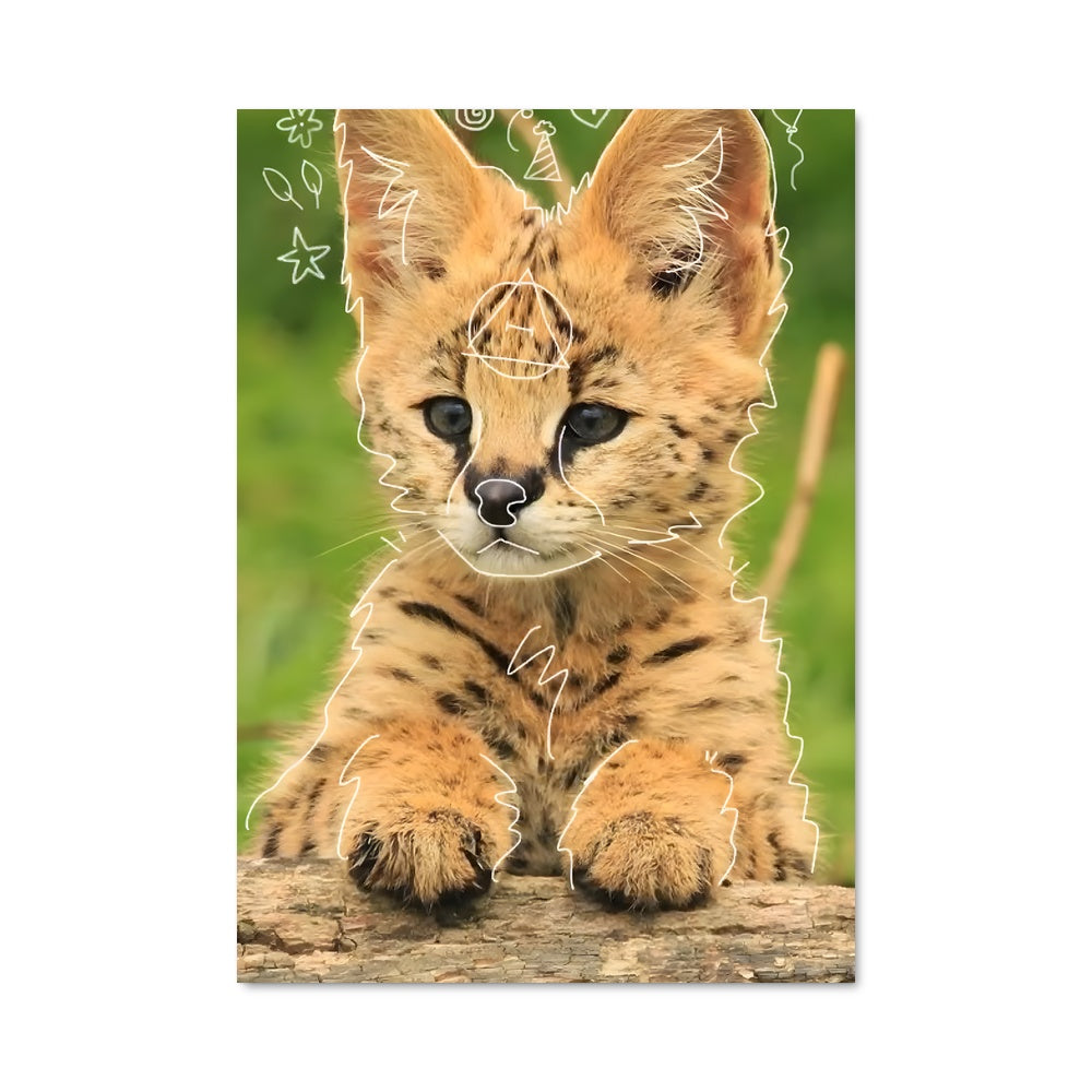 Poster Regard de Chaton