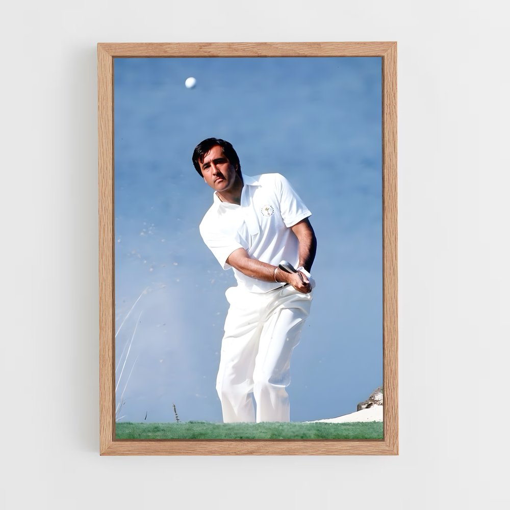 ap-seve ballesteros-7 cadre Bois clair
