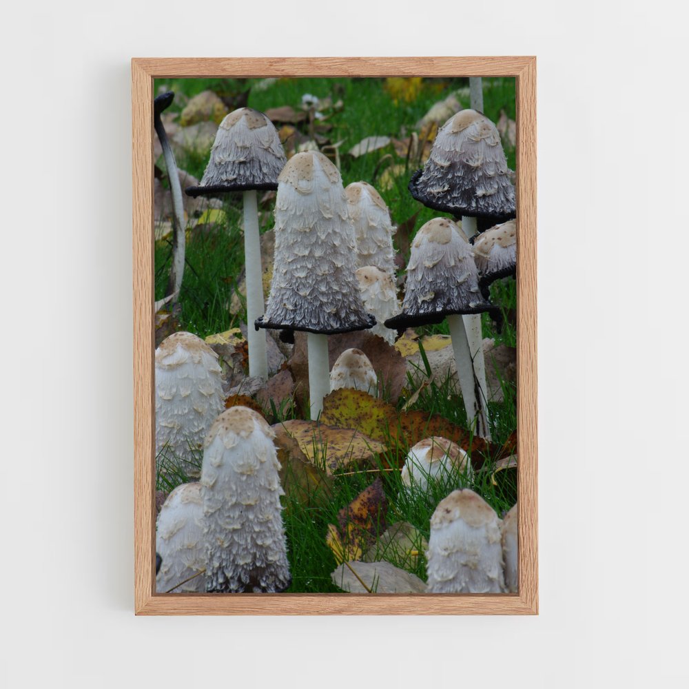 ap-shaggy ink cap-2 cadre Bois clair