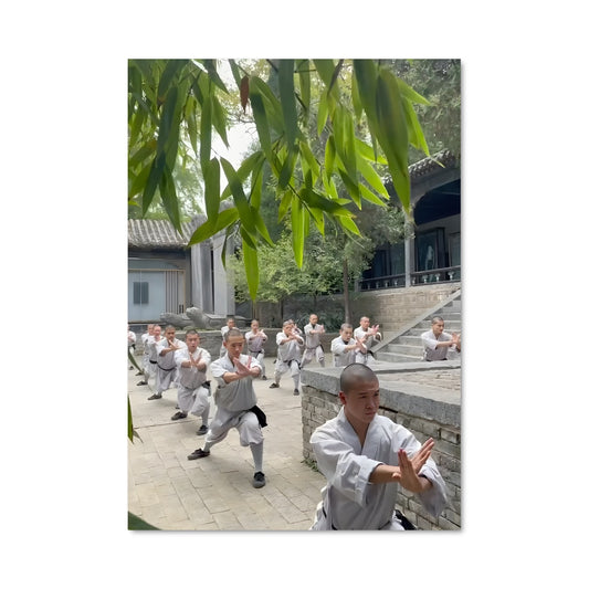 Poster Maîtres du Kung-Fu