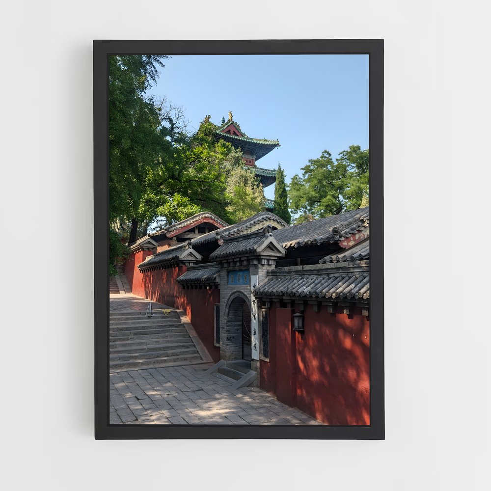 ap-shaolin temple-4 cadre Noir