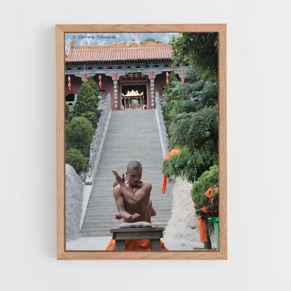 ap-shaolin temple-5 cadre Bois clair
