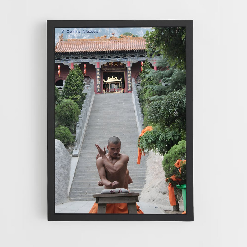 ap-shaolin temple-5 cadre Noir